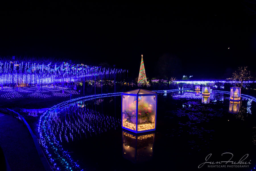 あしかがフラワーパーク イルミネーション