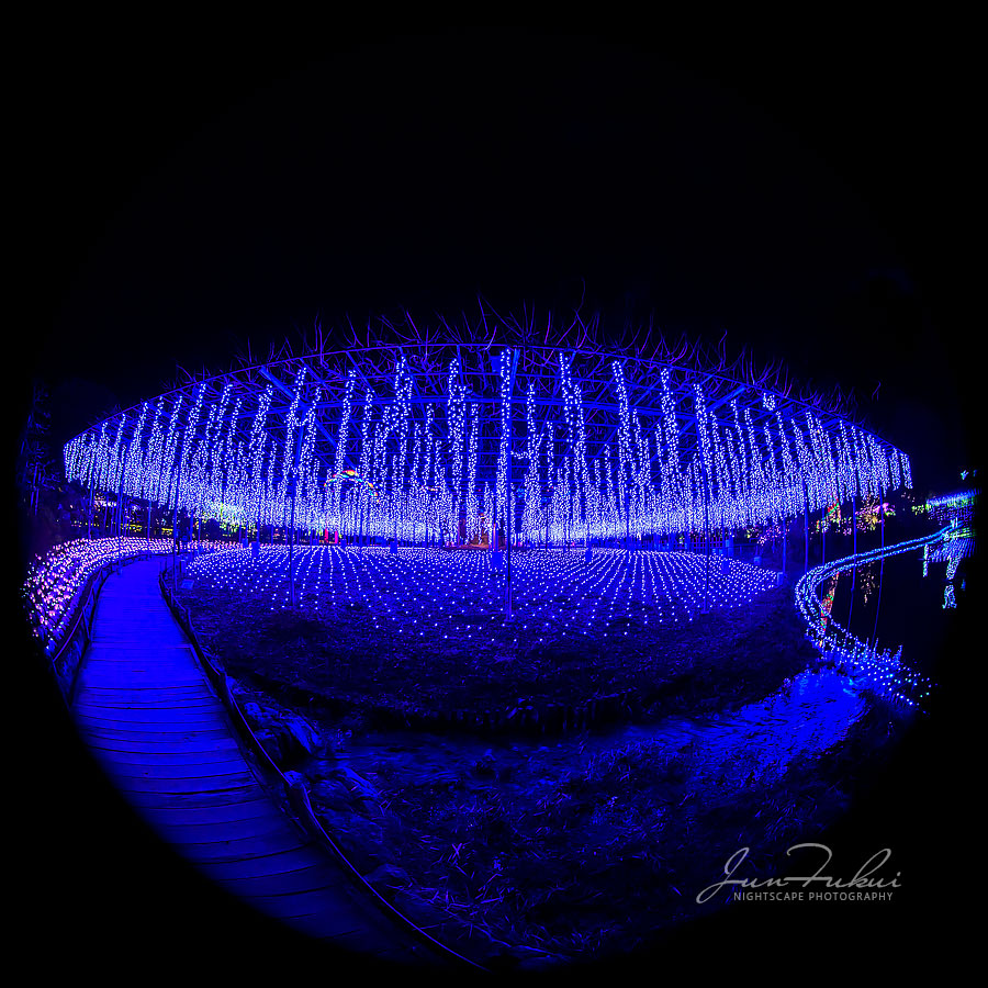 あしかがフラワーパーク イルミネーション