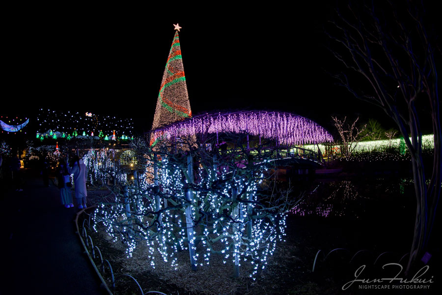 あしかがフラワーパーク イルミネーション