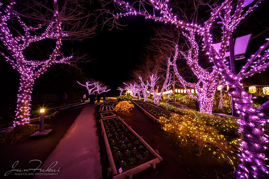 江の島 湘南の宝石 イルミネーション
