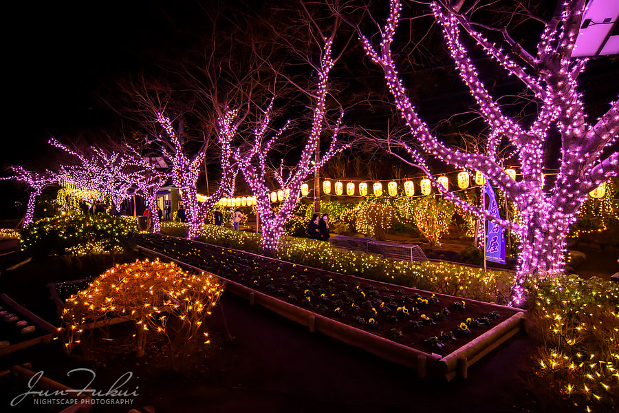 江の島 湘南の宝石 イルミネーション