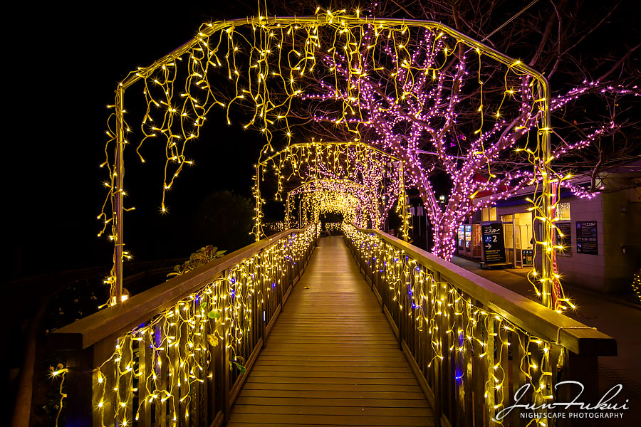 江の島 湘南の宝石 イルミネーション