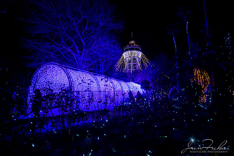 江の島 湘南の宝石 イルミネーション
