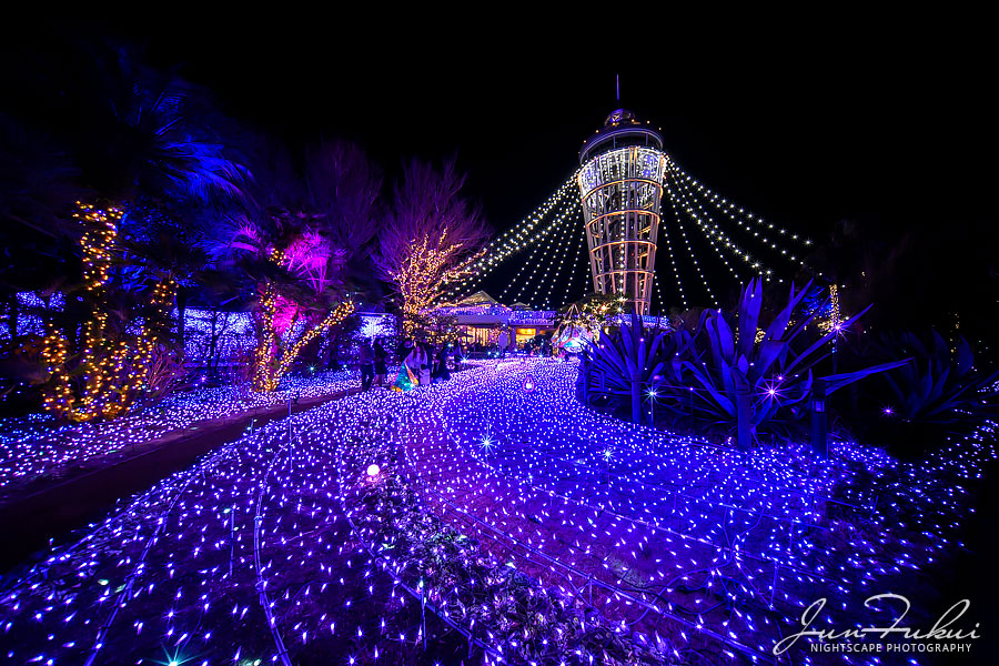 江の島 湘南の宝石 イルミネーション