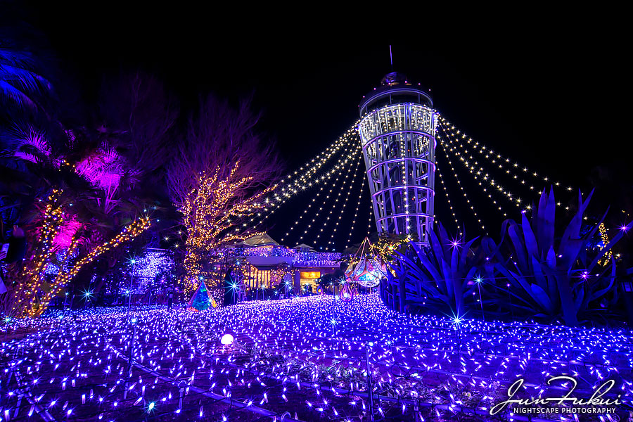 江の島 湘南の宝石 イルミネーション
