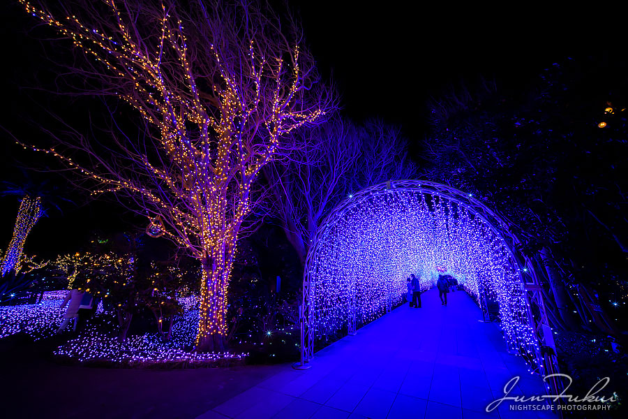 江の島 湘南の宝石 イルミネーション