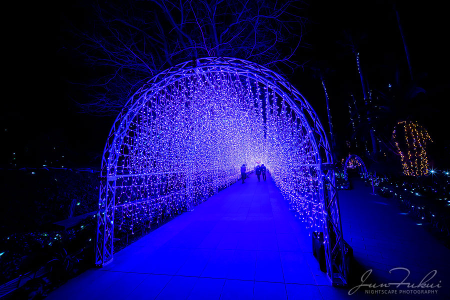 江の島 湘南の宝石 イルミネーション