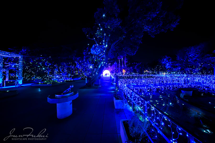 江の島 湘南の宝石 イルミネーション