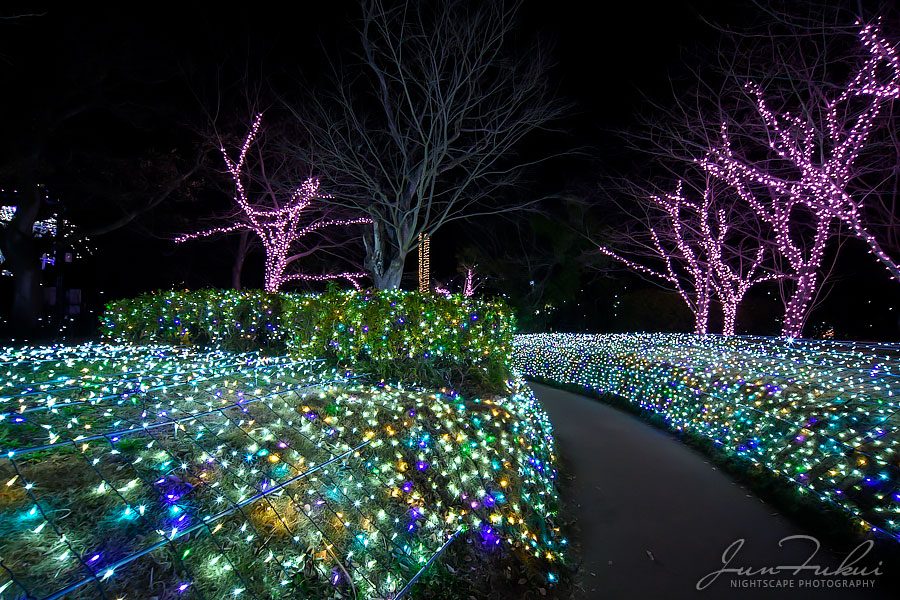 江の島 湘南の宝石 イルミネーション