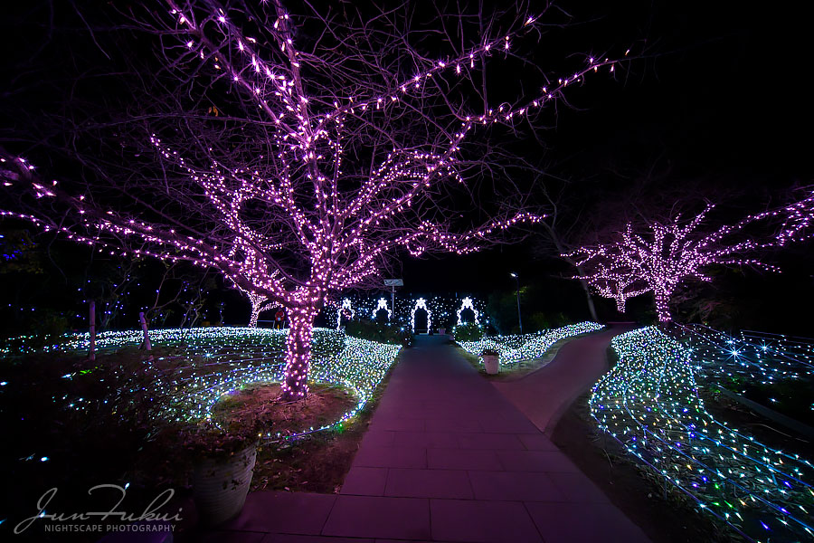 江の島 湘南の宝石 イルミネーション