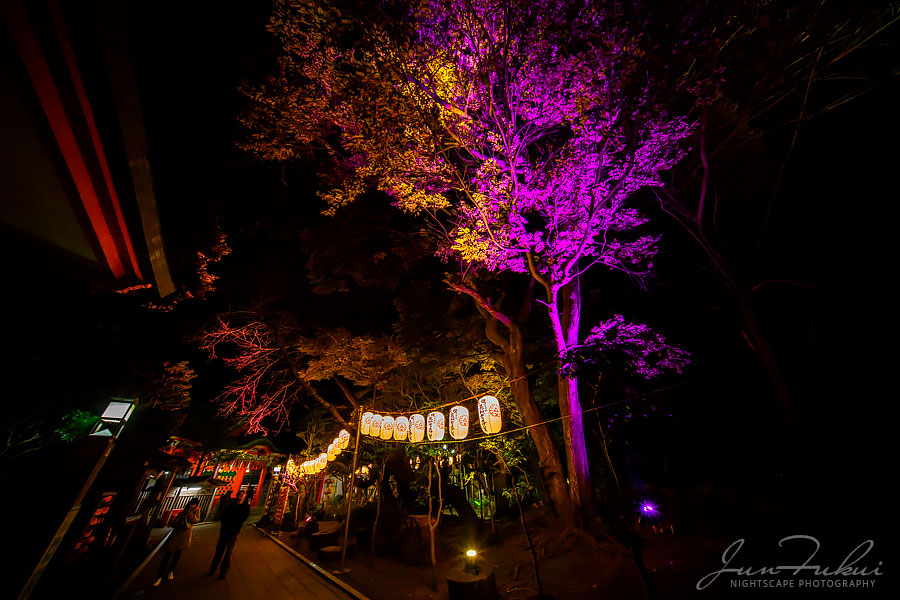 江の島 湘南の宝石 イルミネーション