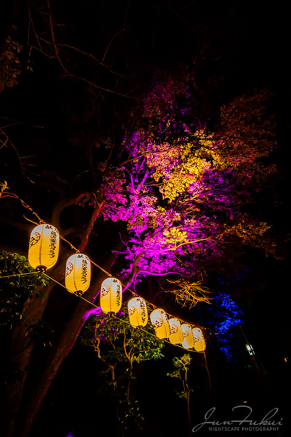 江の島 湘南の宝石 イルミネーション