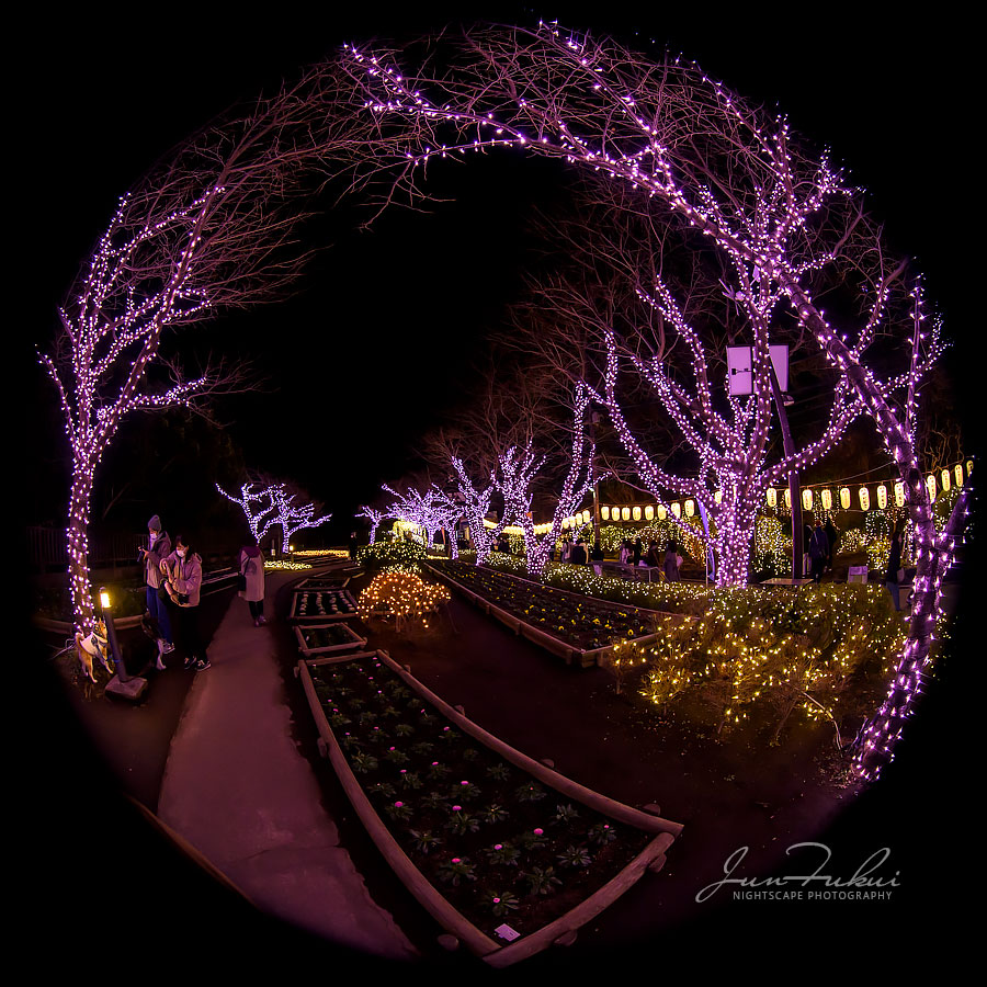 江の島 湘南の宝石 イルミネーション