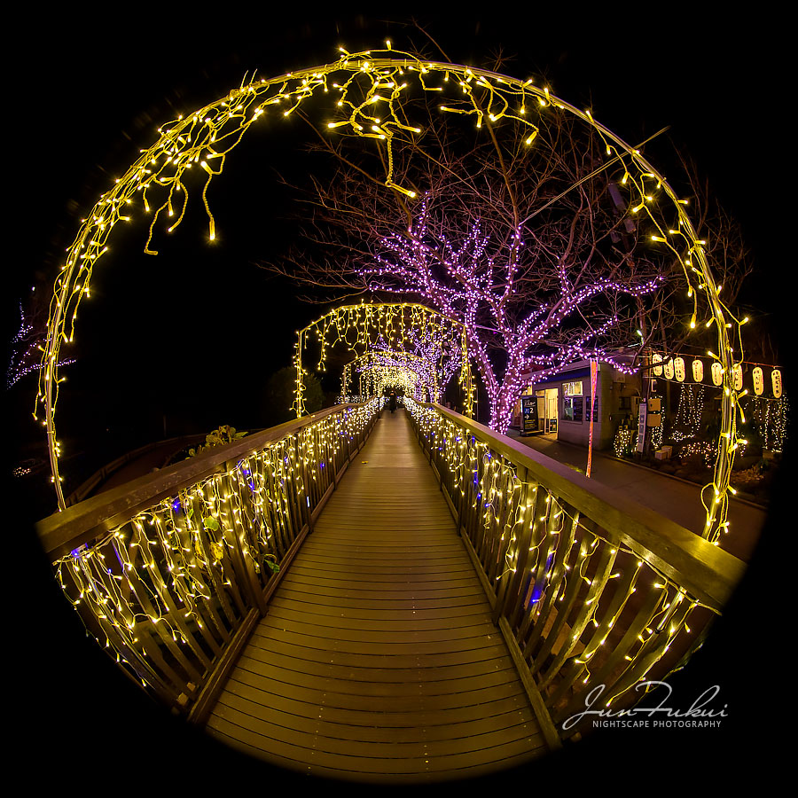 江の島 湘南の宝石 イルミネーション