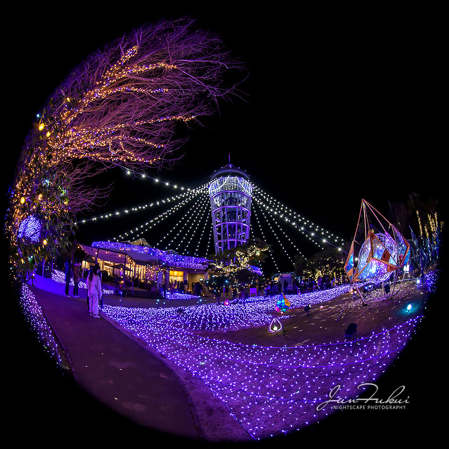 江の島 湘南の宝石 イルミネーション