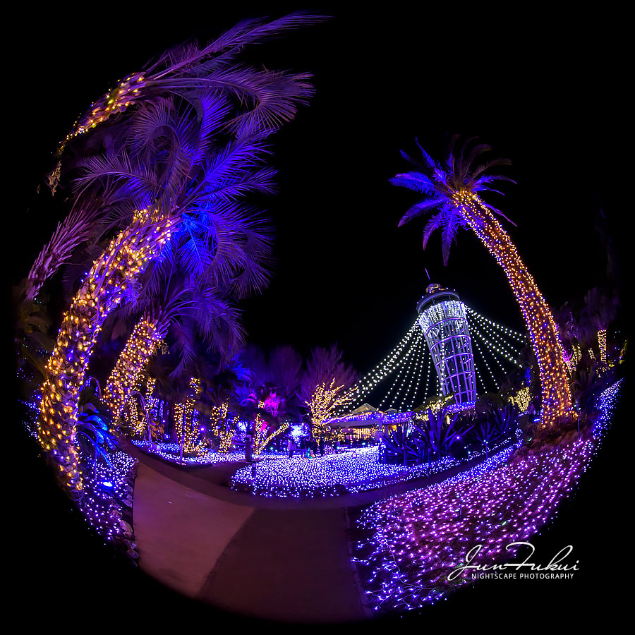 江の島 湘南の宝石 イルミネーション