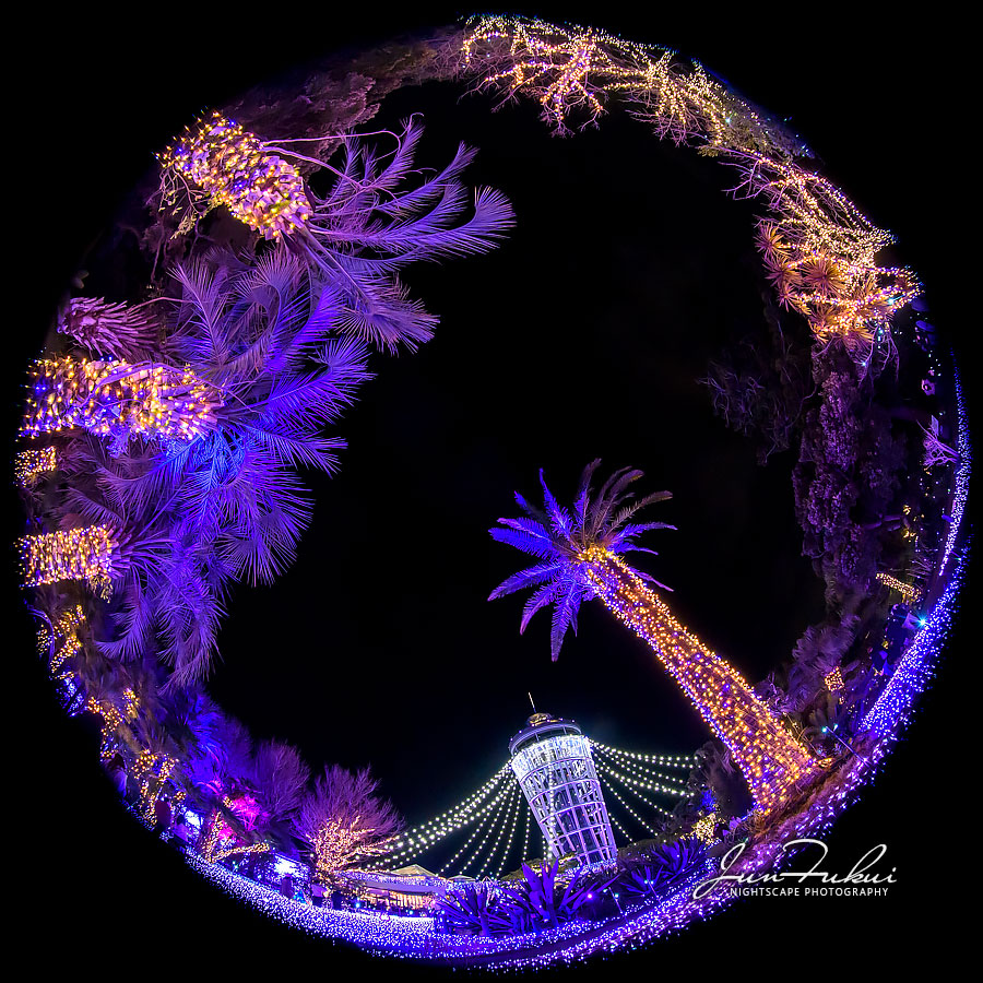 江の島 湘南の宝石 イルミネーション