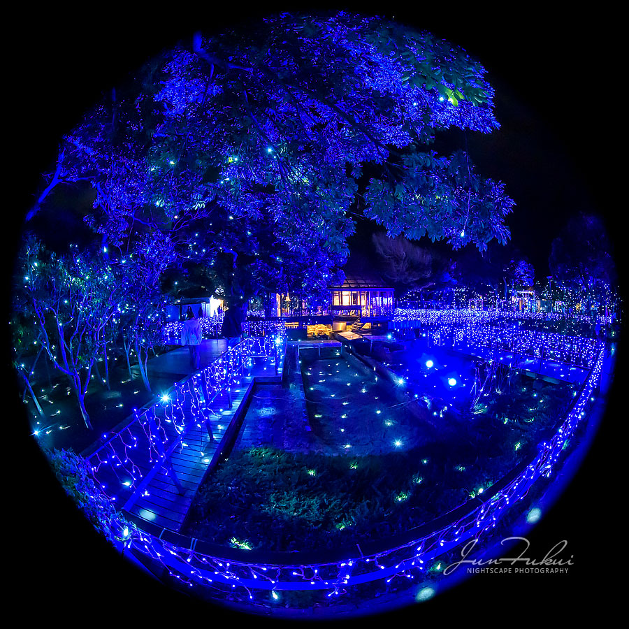 江の島 湘南の宝石 イルミネーション