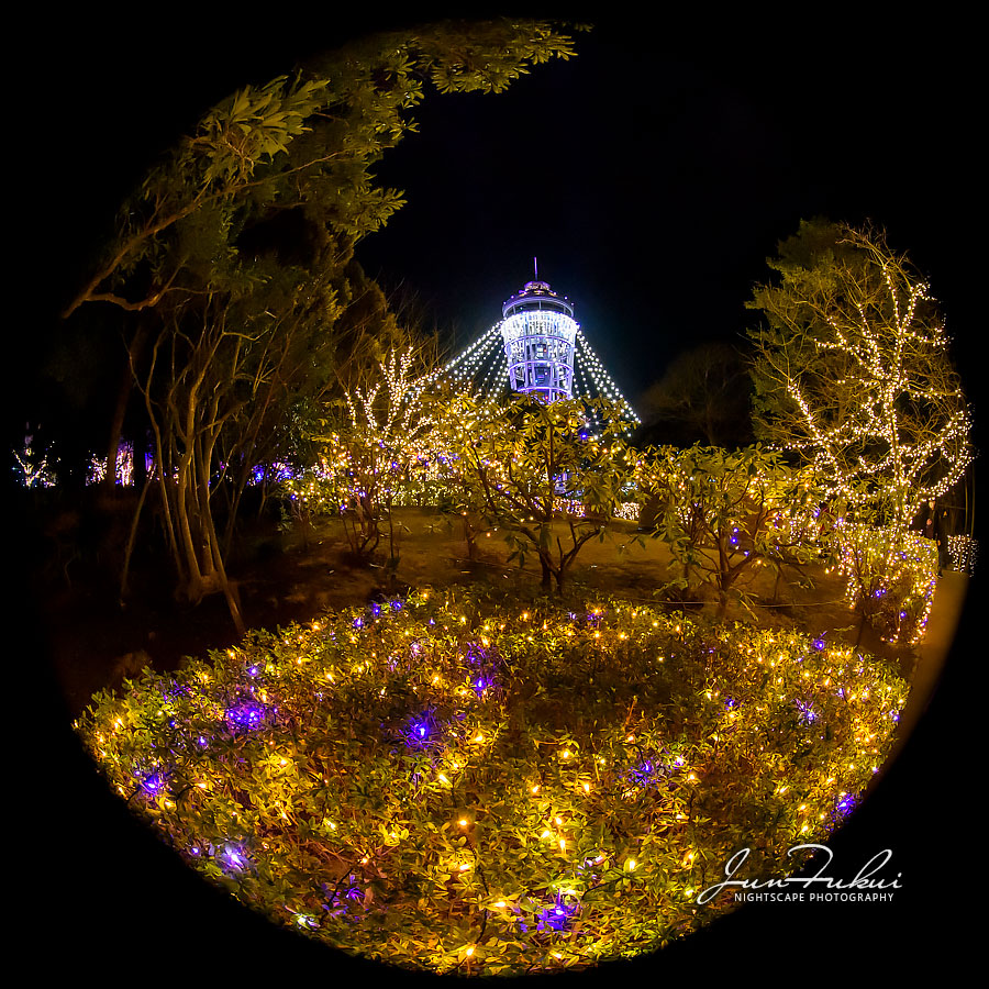 江の島 湘南の宝石 イルミネーション