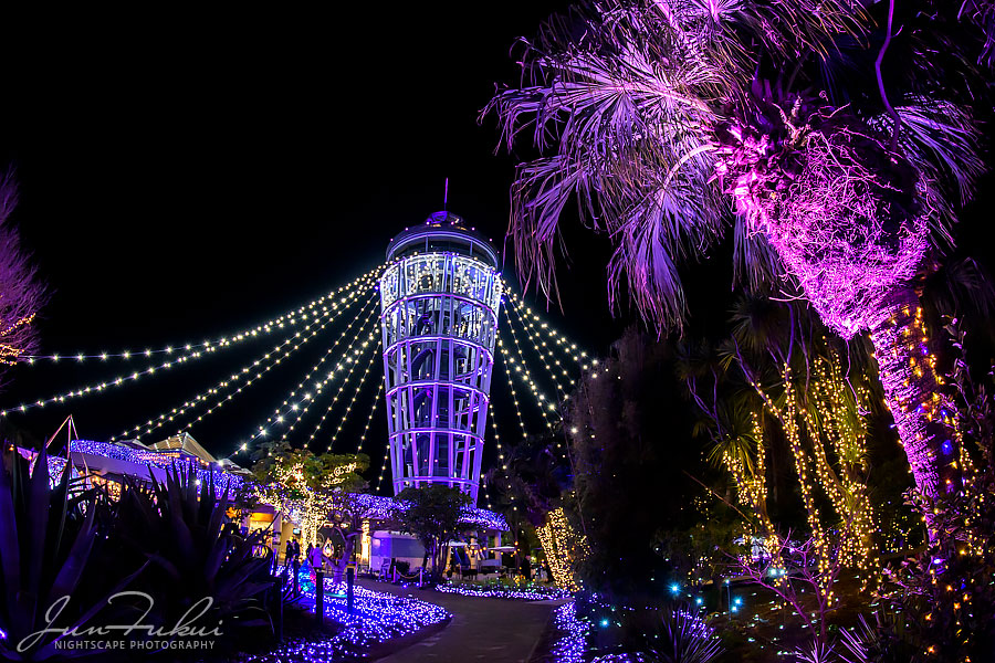江の島 湘南の宝石 イルミネーション