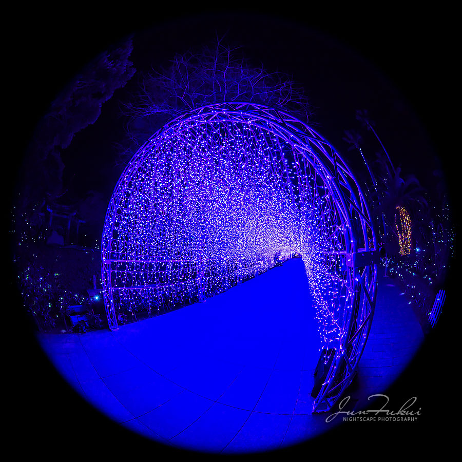 江の島 湘南の宝石 イルミネーション