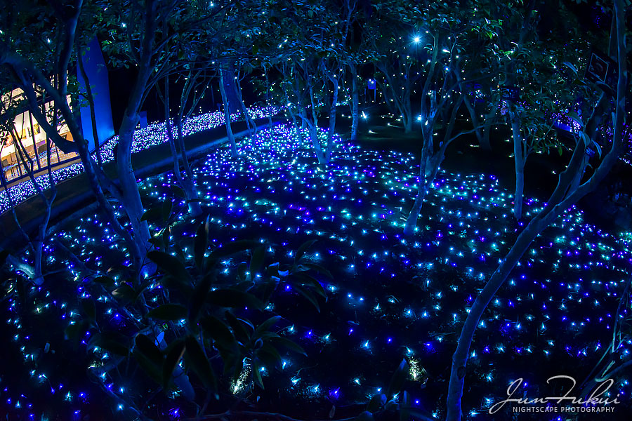 江の島 湘南の宝石 イルミネーション