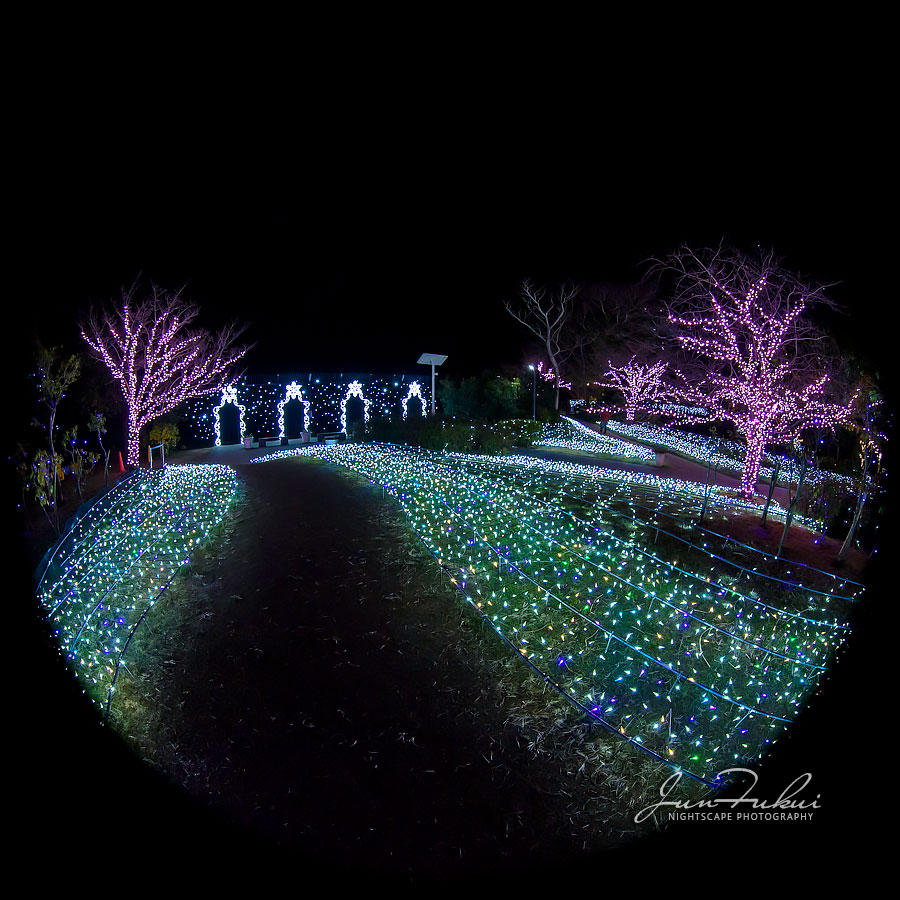 江の島 湘南の宝石 イルミネーション