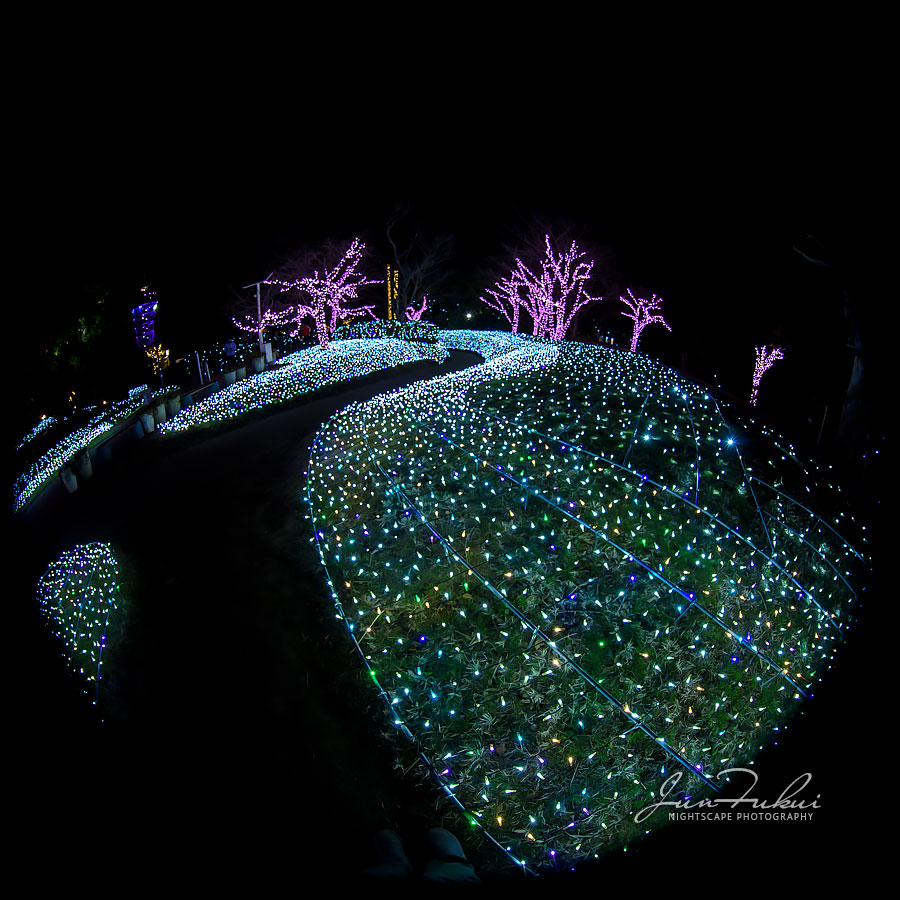 江の島 湘南の宝石 イルミネーション