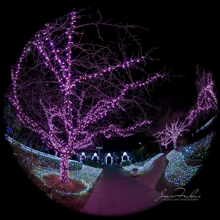 江の島 湘南の宝石 イルミネーション