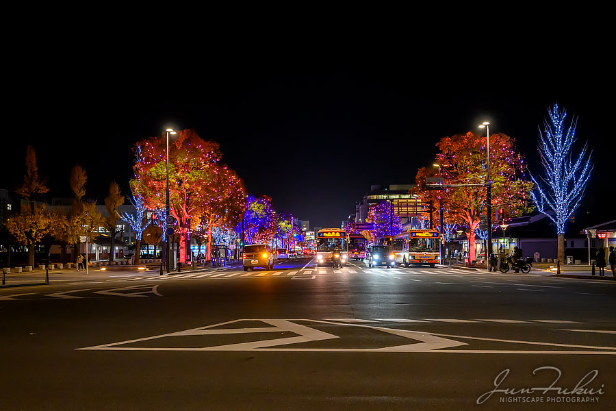 姫路城 イルミネーション