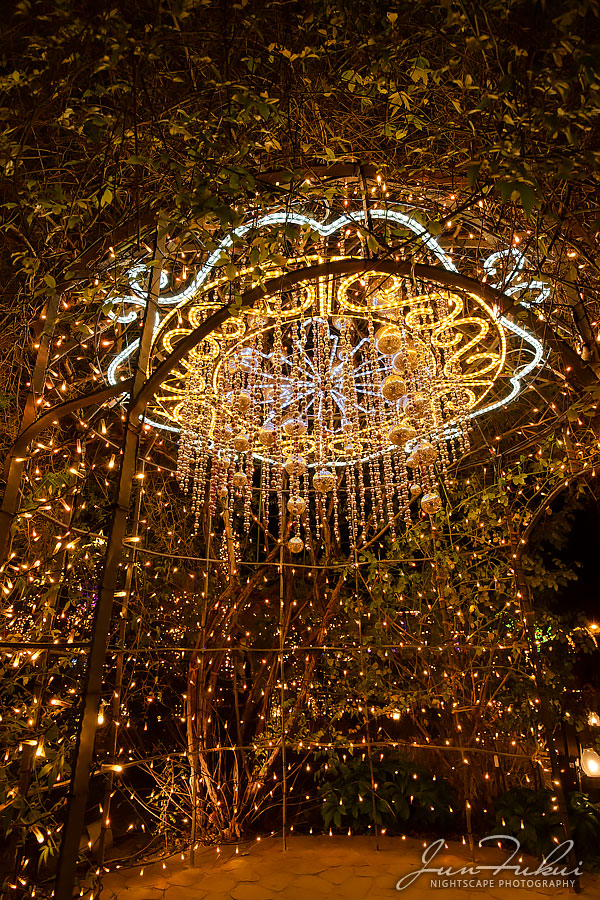 ひらかたパーク イルミネーション