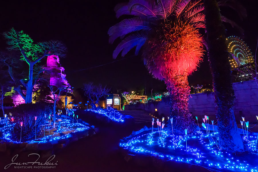 ひらかたパーク イルミネーション