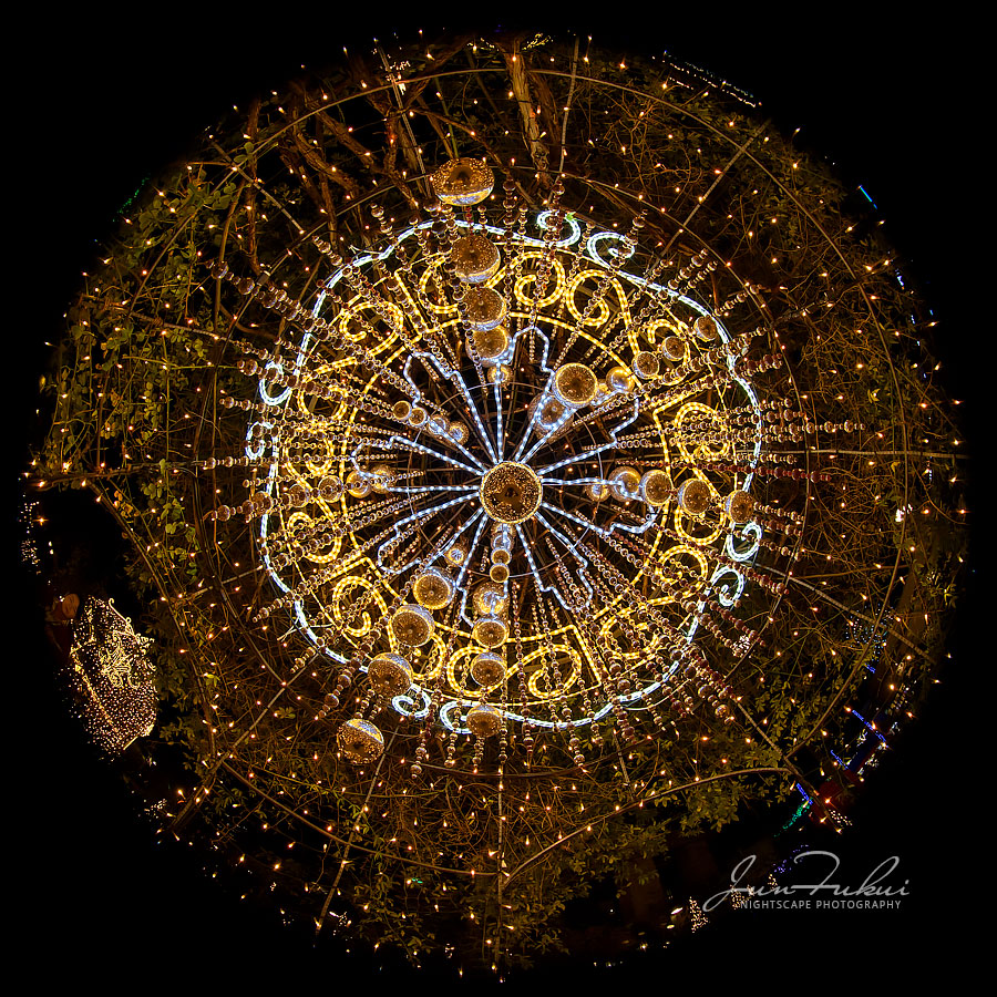 ひらかたパーク イルミネーション