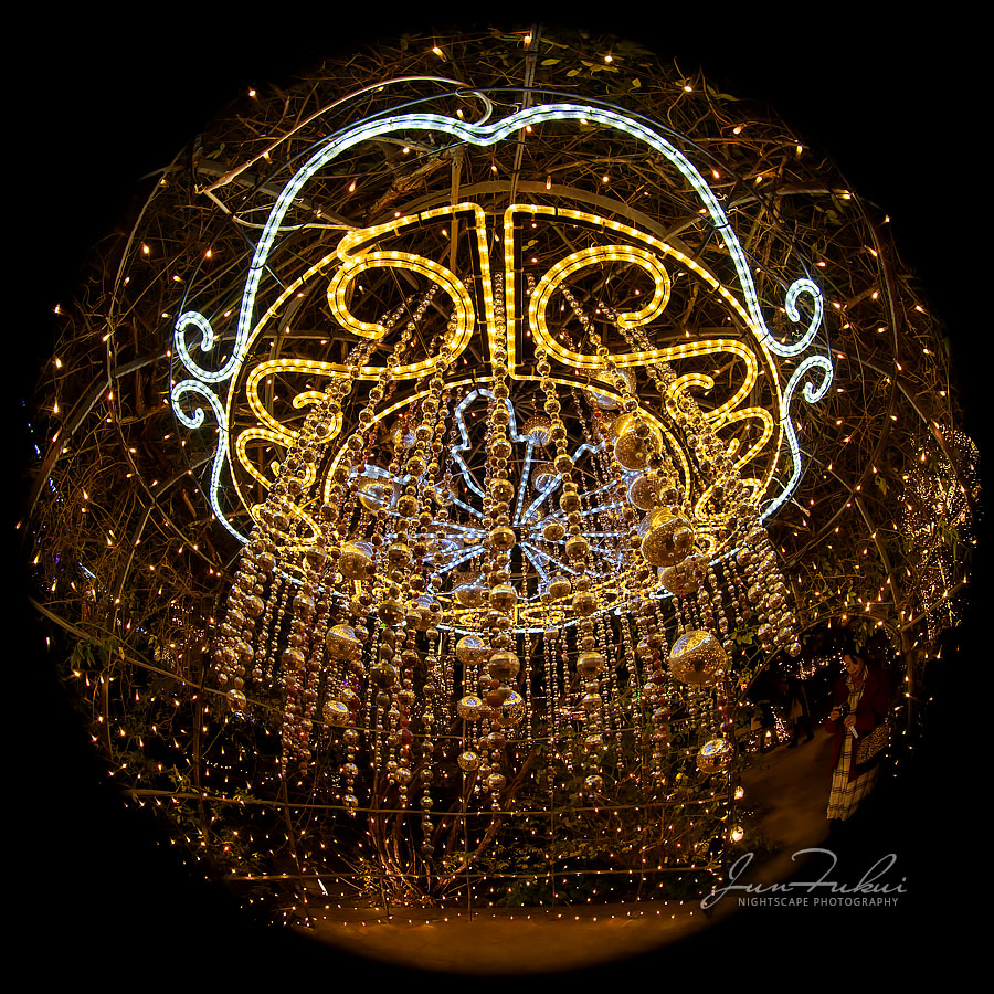 ひらかたパーク イルミネーション