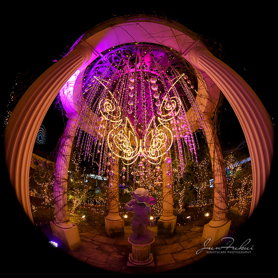 ひらかたパーク イルミネーション