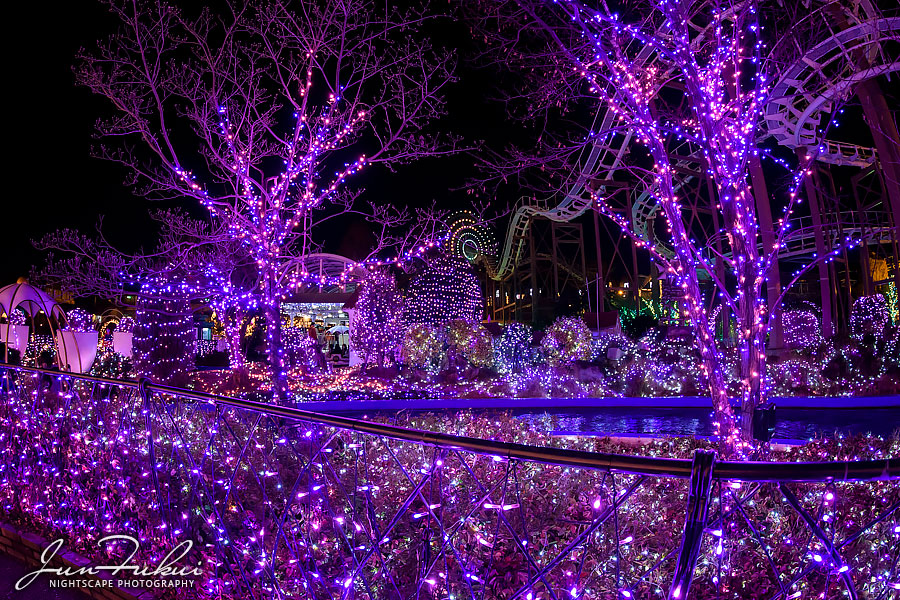 ひらかたパーク イルミネーション