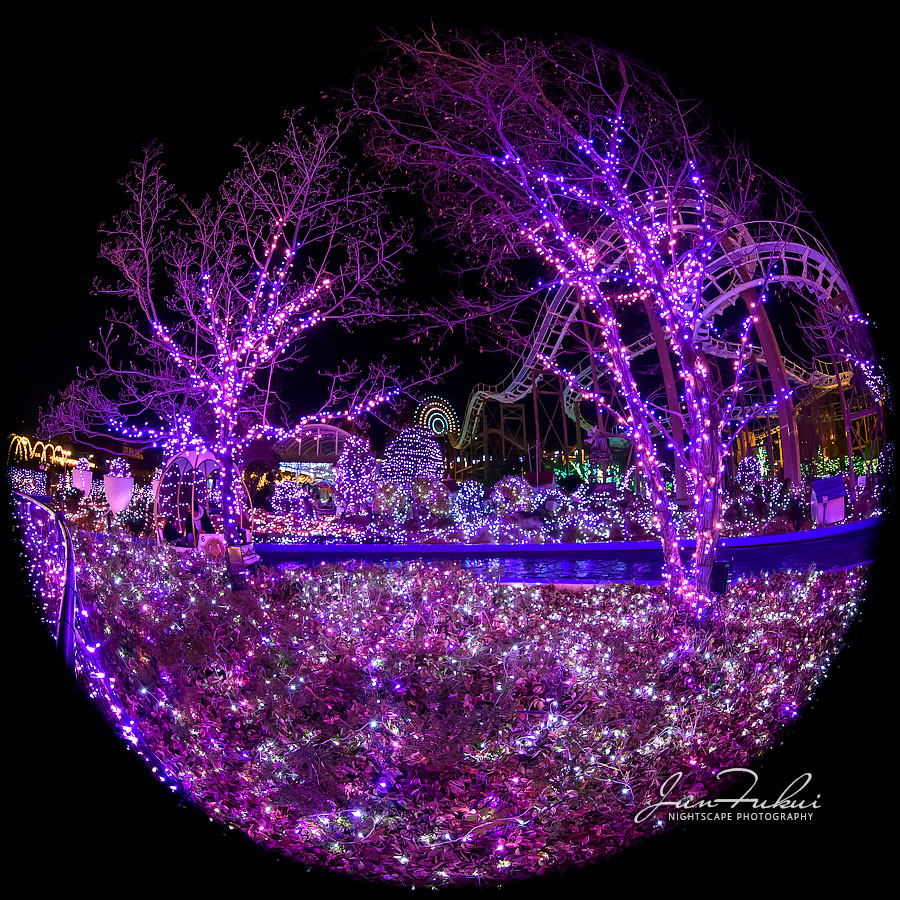 ひらかたパーク イルミネーション