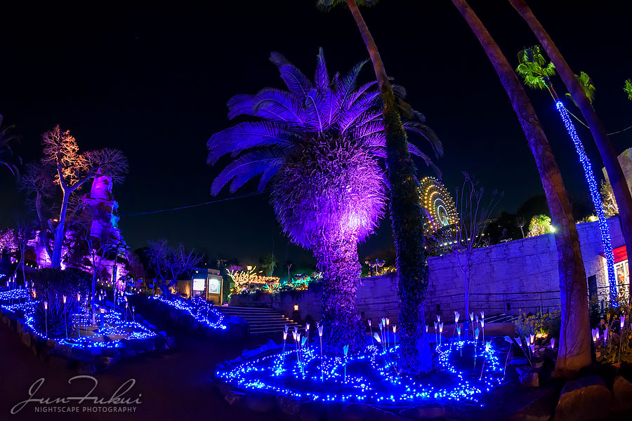 ひらかたパーク イルミネーション