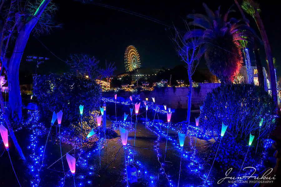 ひらかたパーク イルミネーション