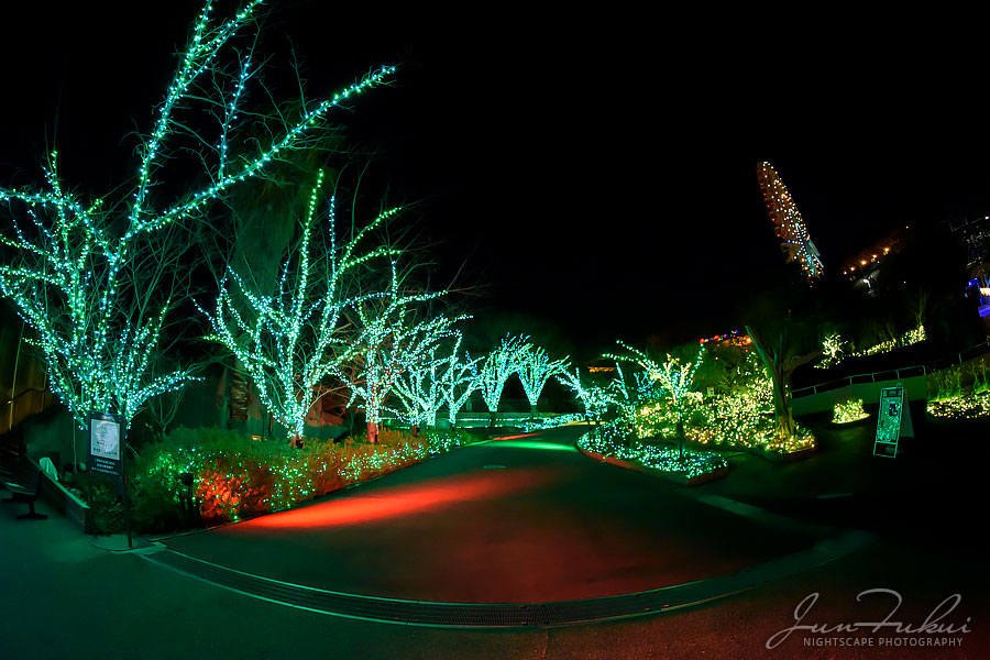 ひらかたパーク イルミネーション