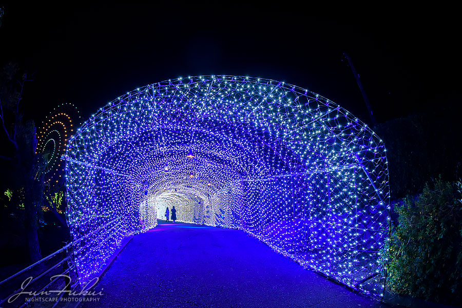 ひらかたパーク イルミネーション