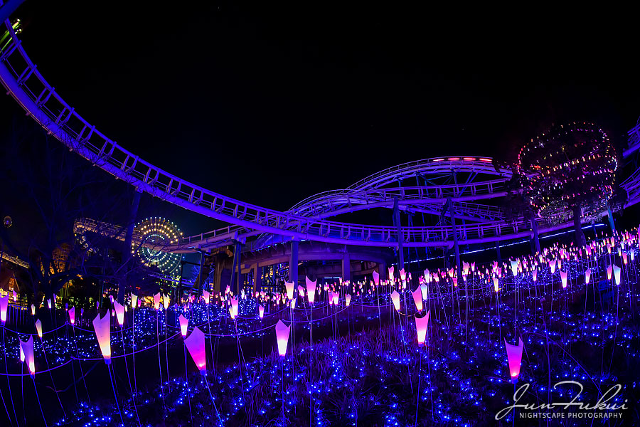 ひらかたパーク イルミネーション