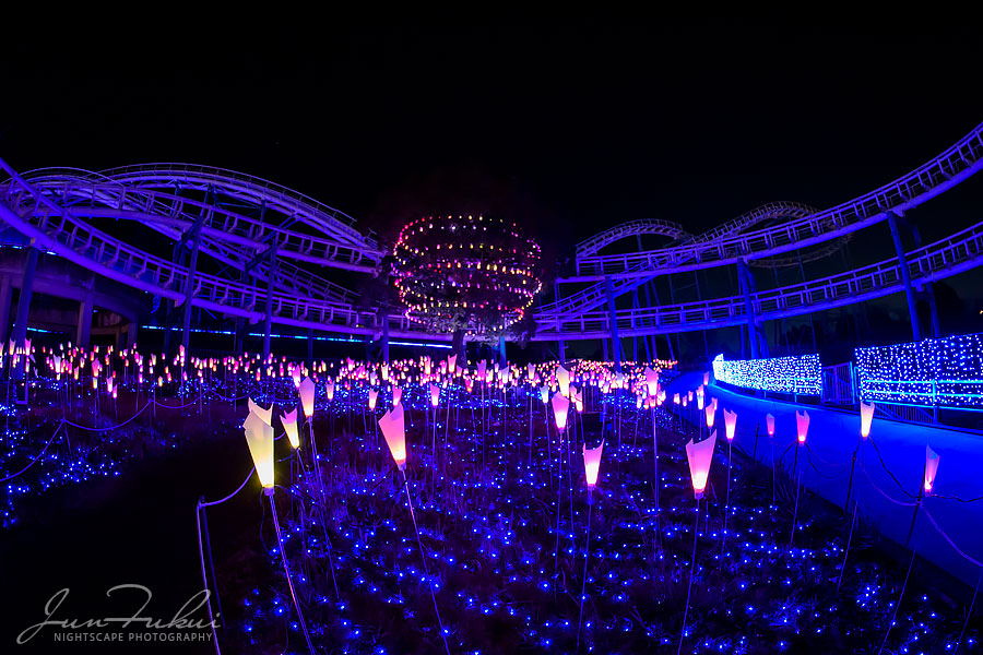 ひらかたパーク イルミネーション