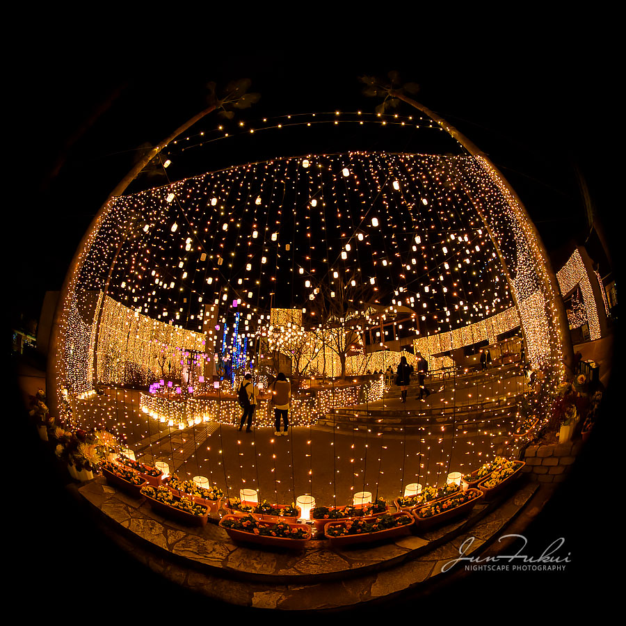 ひらかたパーク イルミネーション