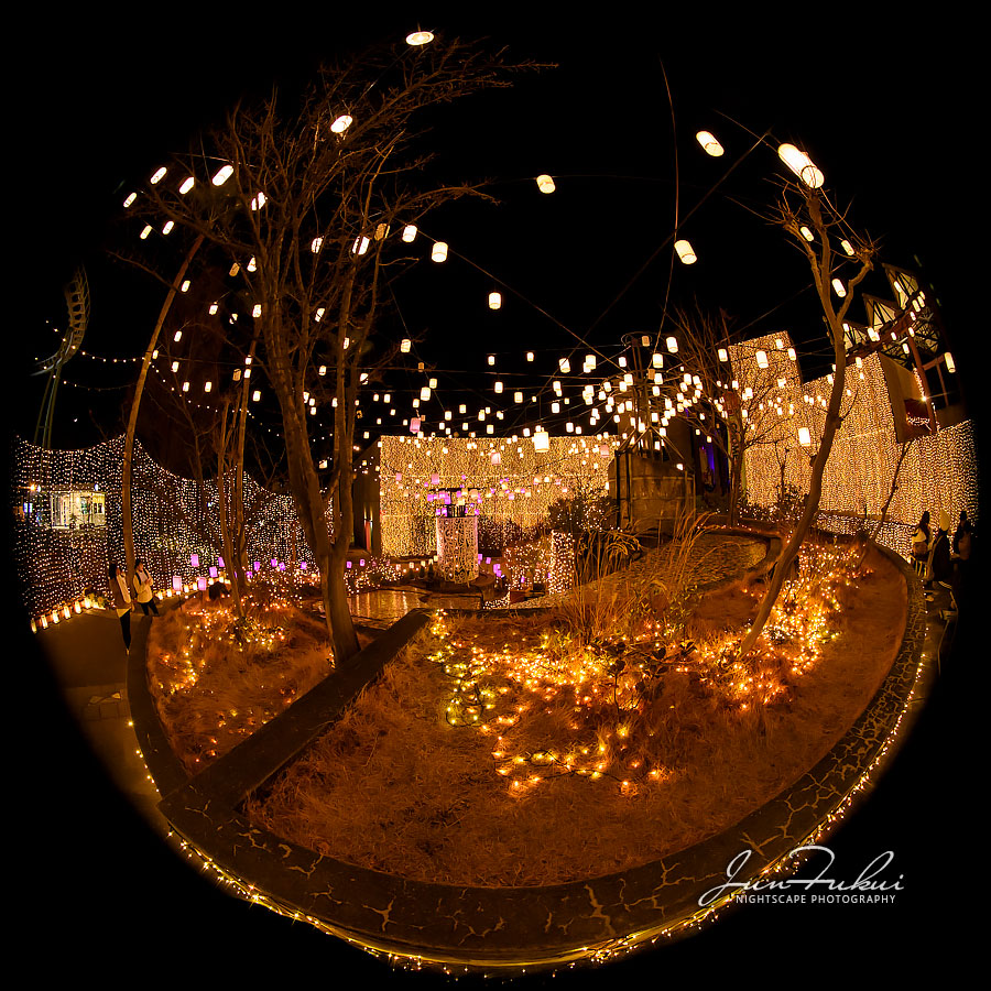 ひらかたパーク イルミネーション