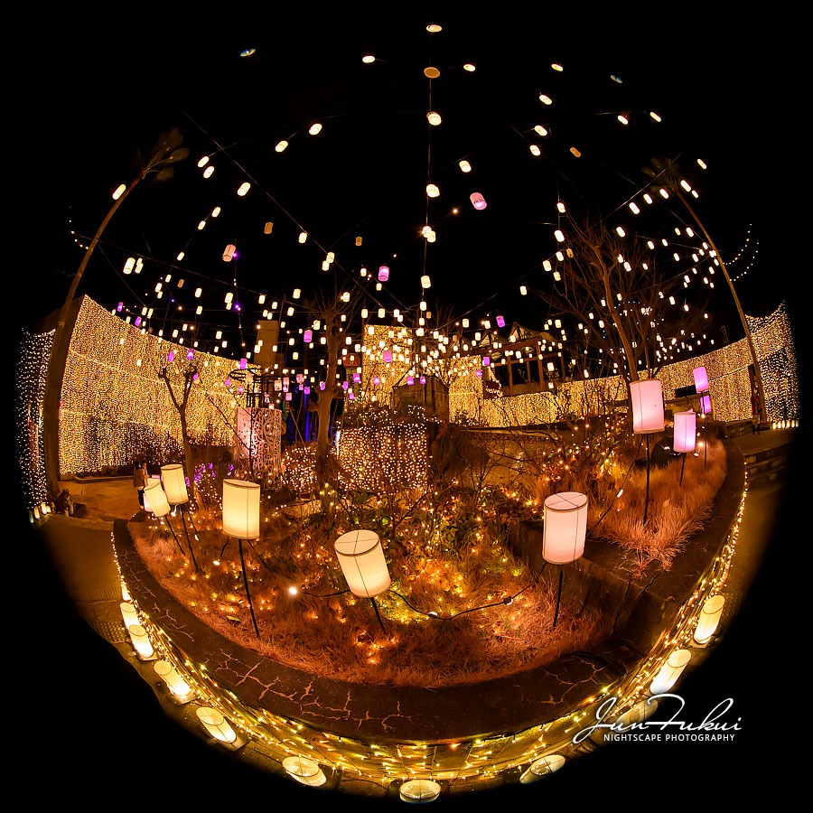 ひらかたパーク イルミネーション