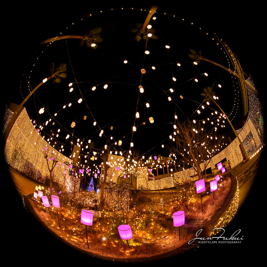 ひらかたパーク イルミネーション