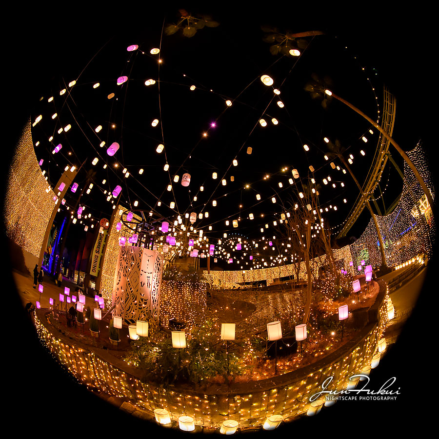 ひらかたパーク イルミネーション