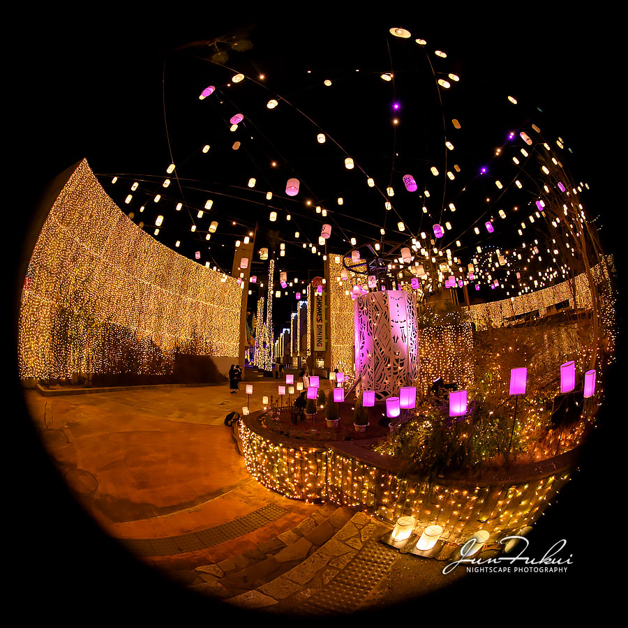 ひらかたパーク イルミネーション