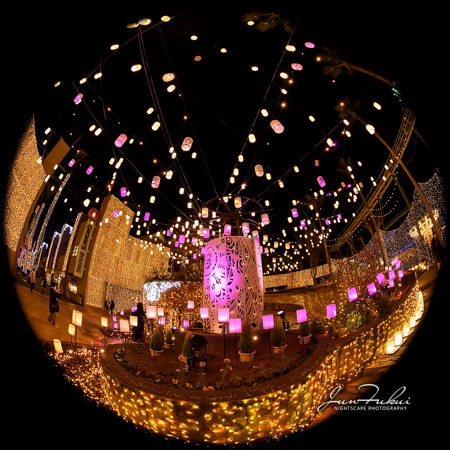 ひらかたパーク イルミネーション